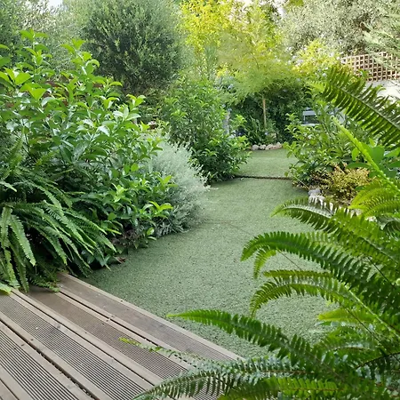 Garden By The Sea *